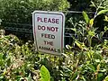 Signs such as this are used to emphasize a no-feeding policy