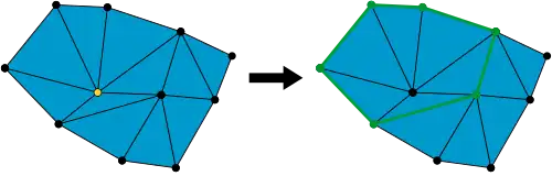 A vertex and its link.