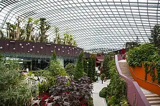 Interior of the Flower Dome