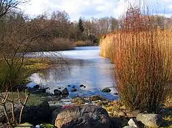 Rixdorfer Teich, Hasenheide