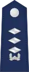 Superior lieutenant