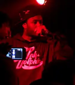 Rolle performing live in 2013