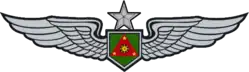 Army Aviation Pilot's Badge (Senior)