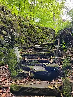 Stone stairway built by Collins and his family leading down to Great Crystal Cave (later Floyd Collins' Crystal Cave)