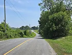 Concession Road 5 in Starkville