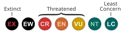 IUCN Red List category abbreviations (version 3.1, 2001)