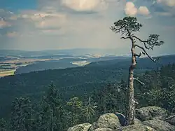 Panorama of the landscape seen from Stołwe Mountains