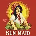 The California Associated Raisin Company begins using the “Sun-Maid” brand name and the painting of Lorraine Collett.