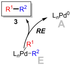 Reductive elimination step in the catalytic cycle of Suzuki reaction.