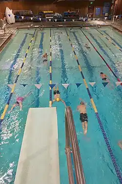 Swimmers in lanes at a pool, as viewed from a diving board