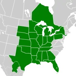 Symphyotrichum oolentangiense distribution map: Canada — Ontario; Mexico — Coahuila; US — Alabama, Arkansas, Florida, Georgia, Illinois, Indiana, Iowa, Kansas, Kentucky, Louisiana, Michigan, Minnesota, Mississippi, Missouri, Nebraska, New York, Ohio, Oklahoma, Pennsylvania, South Dakota, Tennessee, Texas, and Wisconsin.