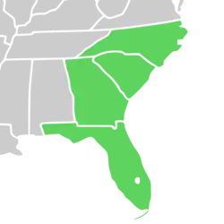 Symphyotrichum simmondsii native distribution map: US — Florida, Georgia, North Carolina, and South Carolina.