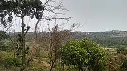 Taleigao-Bambolim plateau