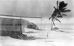 Photo of a camp on a sandy area with two palms