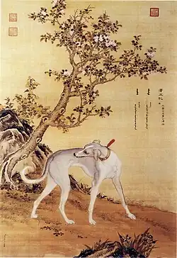 One of a series in Ten Prized Dogs, painted by the Lang Shining