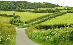 A view across Ballynagallagh