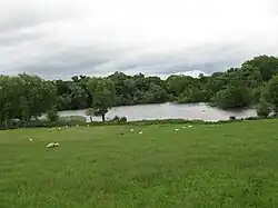 parkland with a lake