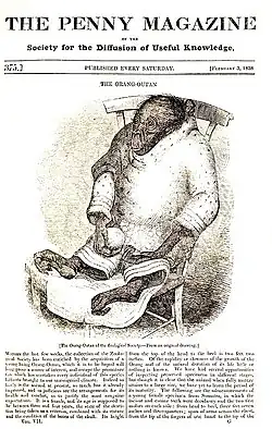 Cover of The Penny Magazine showing orangutan wearing clothing, sitting in a chair