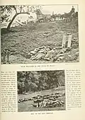 [Top] Confederate Dead at the Rose Farm near the Rose Woods[12][Bottom]Confederate Dead at the Rose Woods[13]