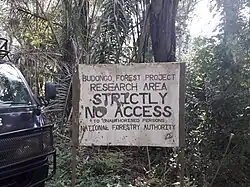 The Royal Mile - Budongo Forest - Uganda