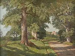 Forest with a view of a clearing