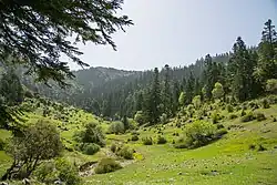 Tlasmtane National Park in the Rif Mountains