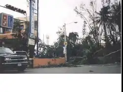 Toppled trees in Santo Domingo after Hurricane Georges moved through the Dominican Republic