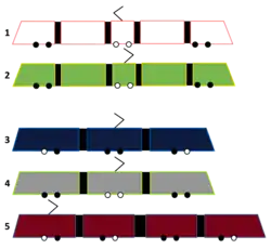 Diagrams of different tram types, multi-articulated types with alternating wheeled and suspended sections and short-articulated types with bogies under each section