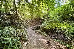 Macomb stream and trail in Tregaron Conservancy