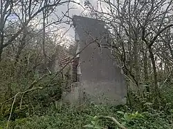 Largest ruin in Turzyniec, a former building with two mostly intact walls