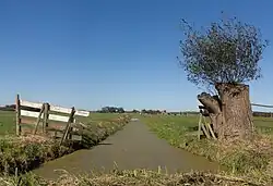 between Ameide and Meerkerk, ditch in the polder