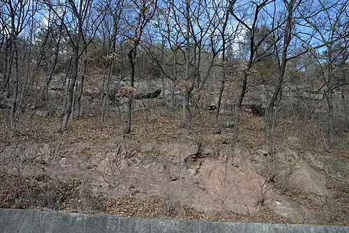 Boundary of Hasandong Formation (under) and Jinju Formation (upper), 36°24′04.0″N 128°32′40.0″E﻿ / ﻿36.401111; 128.544444