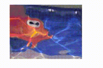 Video i: Morph-Cube showing a fish, which changes if the onlooker moves, 2005, 21 x 21 x 21 cm