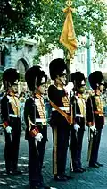 The standard of the Garderegiment Grenadiers in 1992/