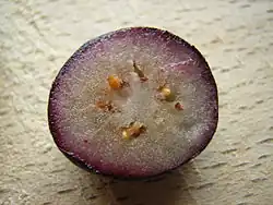 A cut blueberry showing how, having been frozen and then thawed, the anthocyanins in the pericarp can run into the damaged cells, staining the flesh.