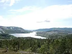 Coniferous forest near Vatnvatet lake, Bodø Municipality