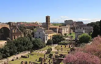 View from Palatine Hill