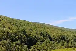 View of West Cameron Township, Northumberland County, Pennsylvania looking south to a forested ridge