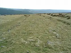 Photograph of Wade's Causeway, taken in 2005, showing the stone surface almost completely hidden by vegetation