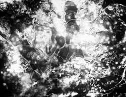 Photo of bombing of Waegwan, 1950