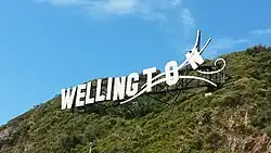 Photo of a large sign on a hill