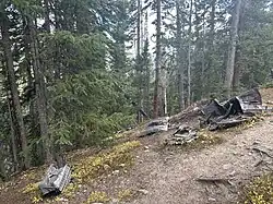 A narrow forest trail winds through tall pine trees, with fallen logs crossing the path. The ground is covered in dirt and pine needles, and the forest is dense with trees and greenery..