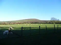 bracken-covered hill in the background with trees and fields in the foreground