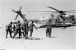 CH-53D Sea Stallion Yas'ur of 118 Squadron "Night Raptors" from Tel Nof during the Yom Kippur War 1973