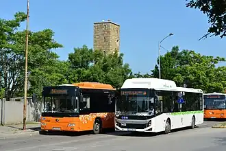 Buses on Srebarna Street near the entrance to the Sofia Zoo