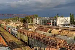 Freight trains at Zeleny Dol station