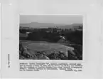 Photograph "Indian Graveyard 'H'...containing the remains of Charlie Johnson and other Indians (Coarsegold Tribe),"... - NARA - 296227