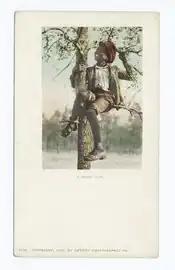 "A Treed Coon" postcard, published  1900 by Detroit Pub. Co. (NYPL Collection)